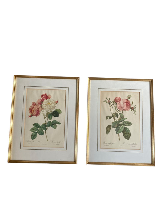 Pair of framed botanical prints features the work of the renowned French floral artist Pierre Joseph Redoute (1759–1840)