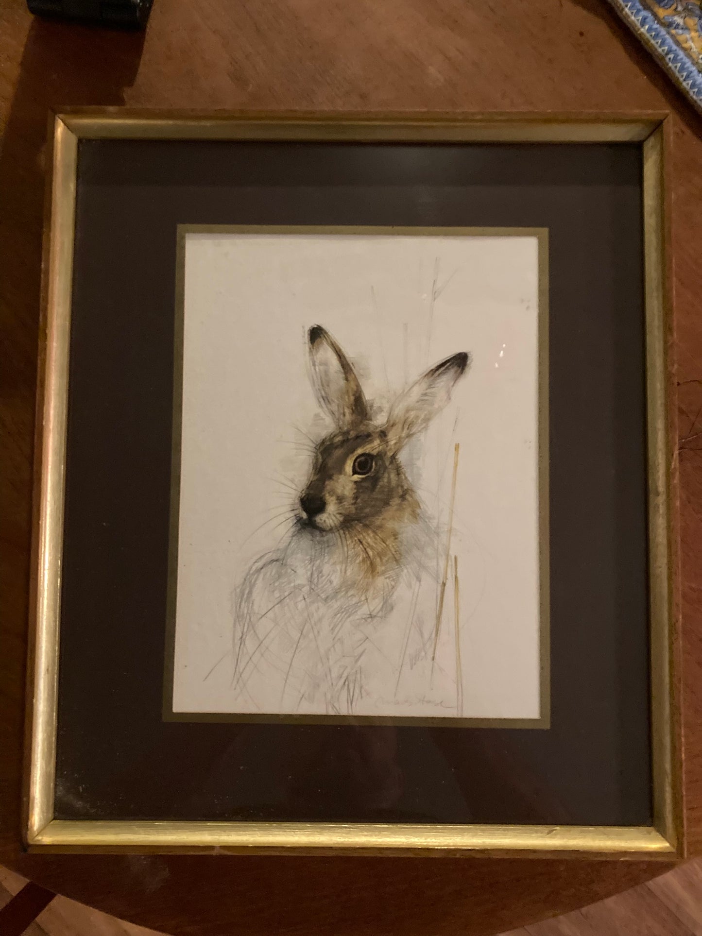 Print of a hare by the acclaimed Danish artist and illustrator Mads Stage