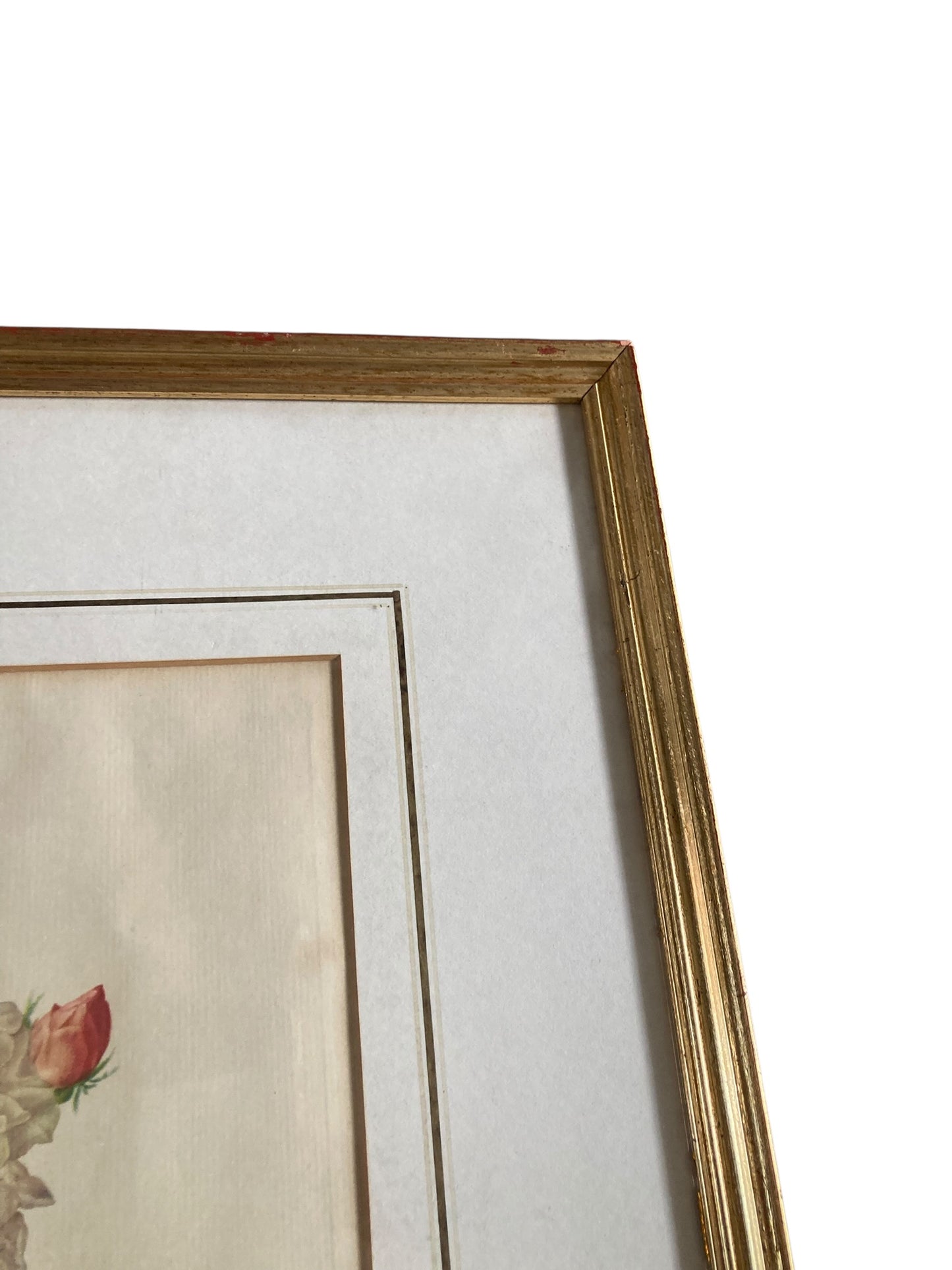 Pair of framed botanical prints features the work of the renowned French floral artist Pierre Joseph Redoute (1759–1840)