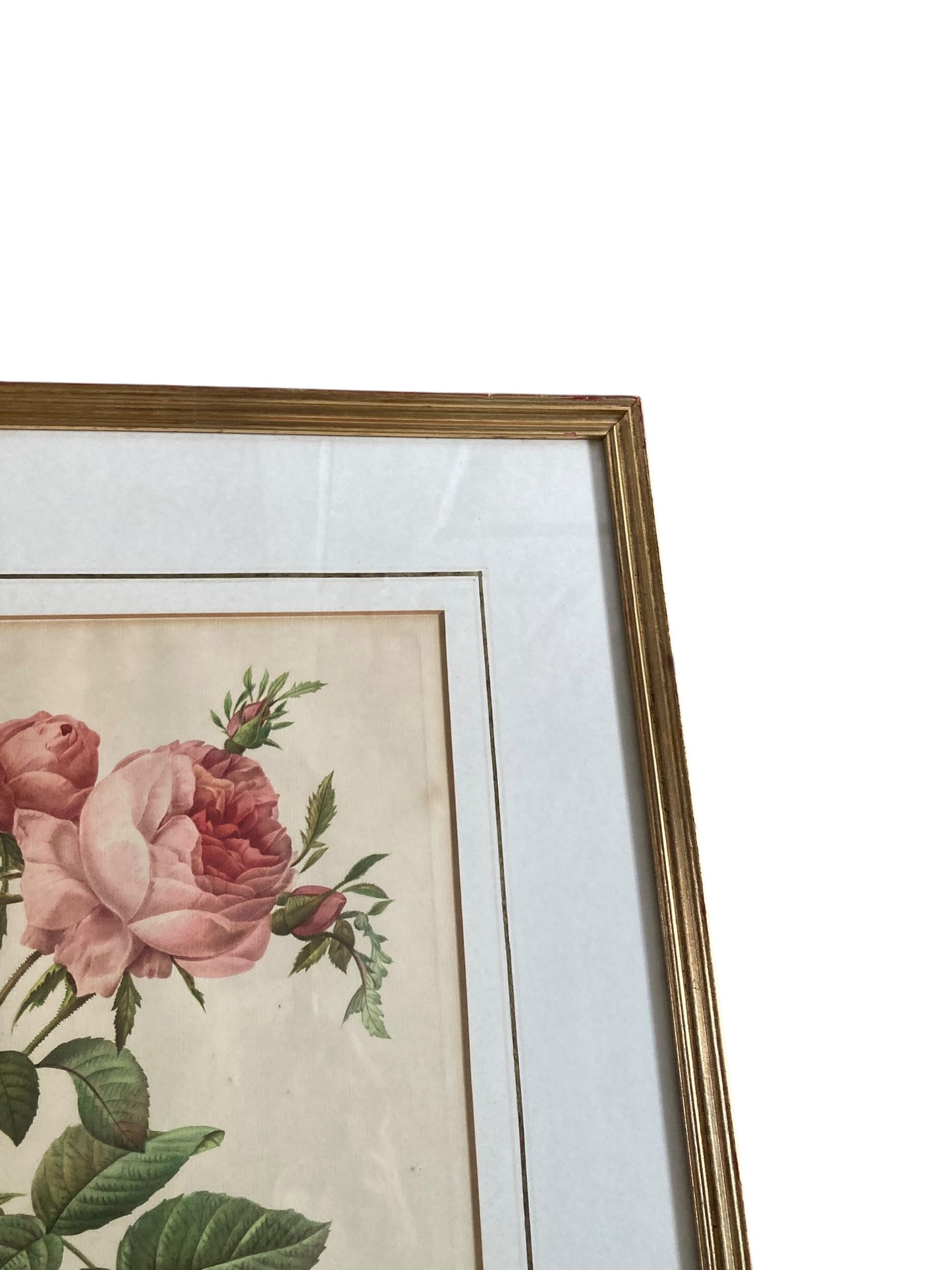 Pair of framed botanical prints features the work of the renowned French floral artist Pierre Joseph Redoute (1759–1840)