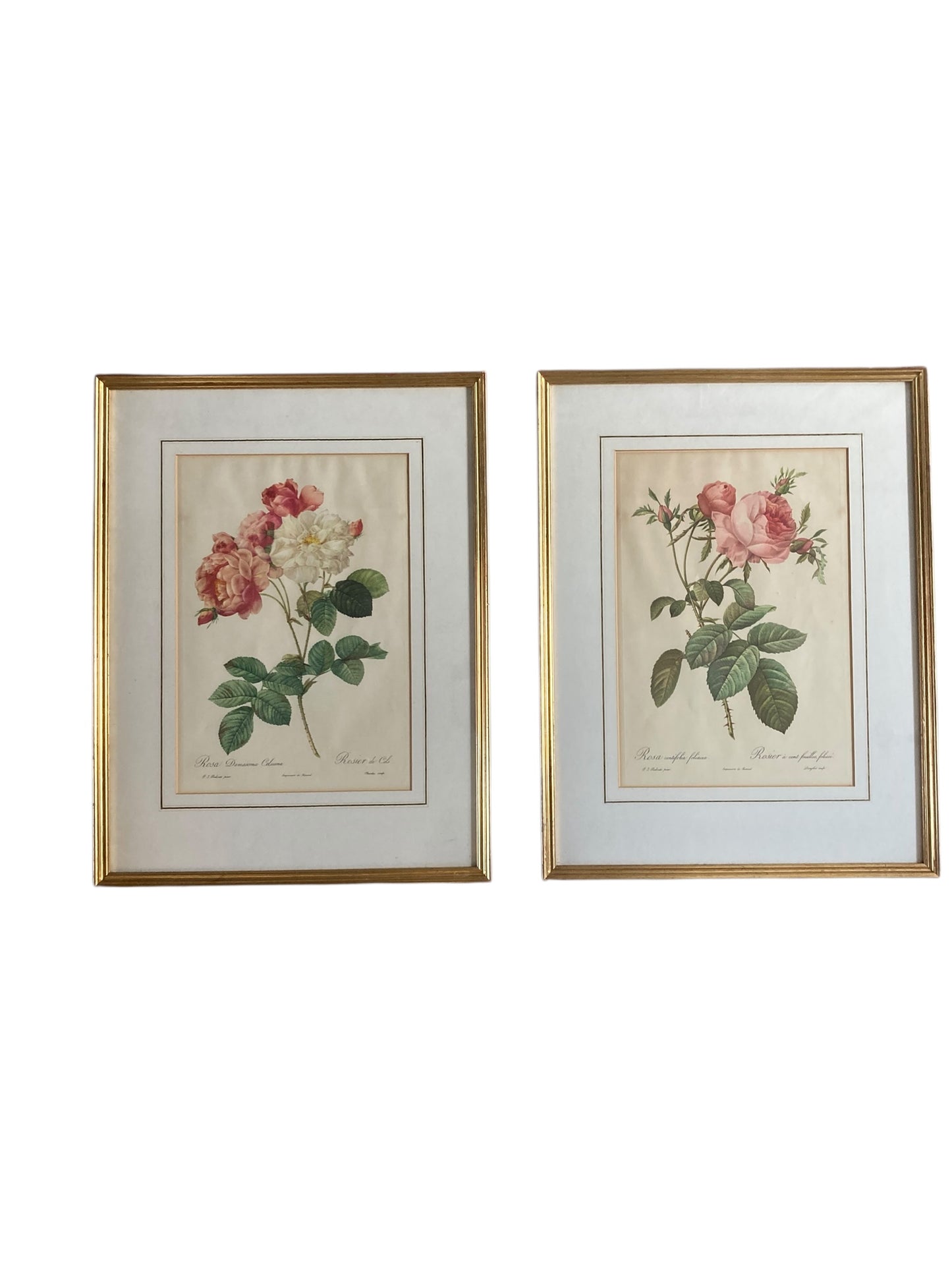 Pair of framed botanical prints features the work of the renowned French floral artist Pierre Joseph Redoute (1759–1840)