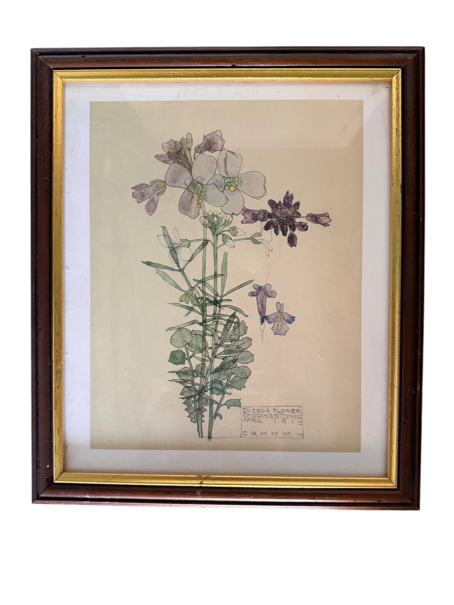 Set of four framed botanical color prints
