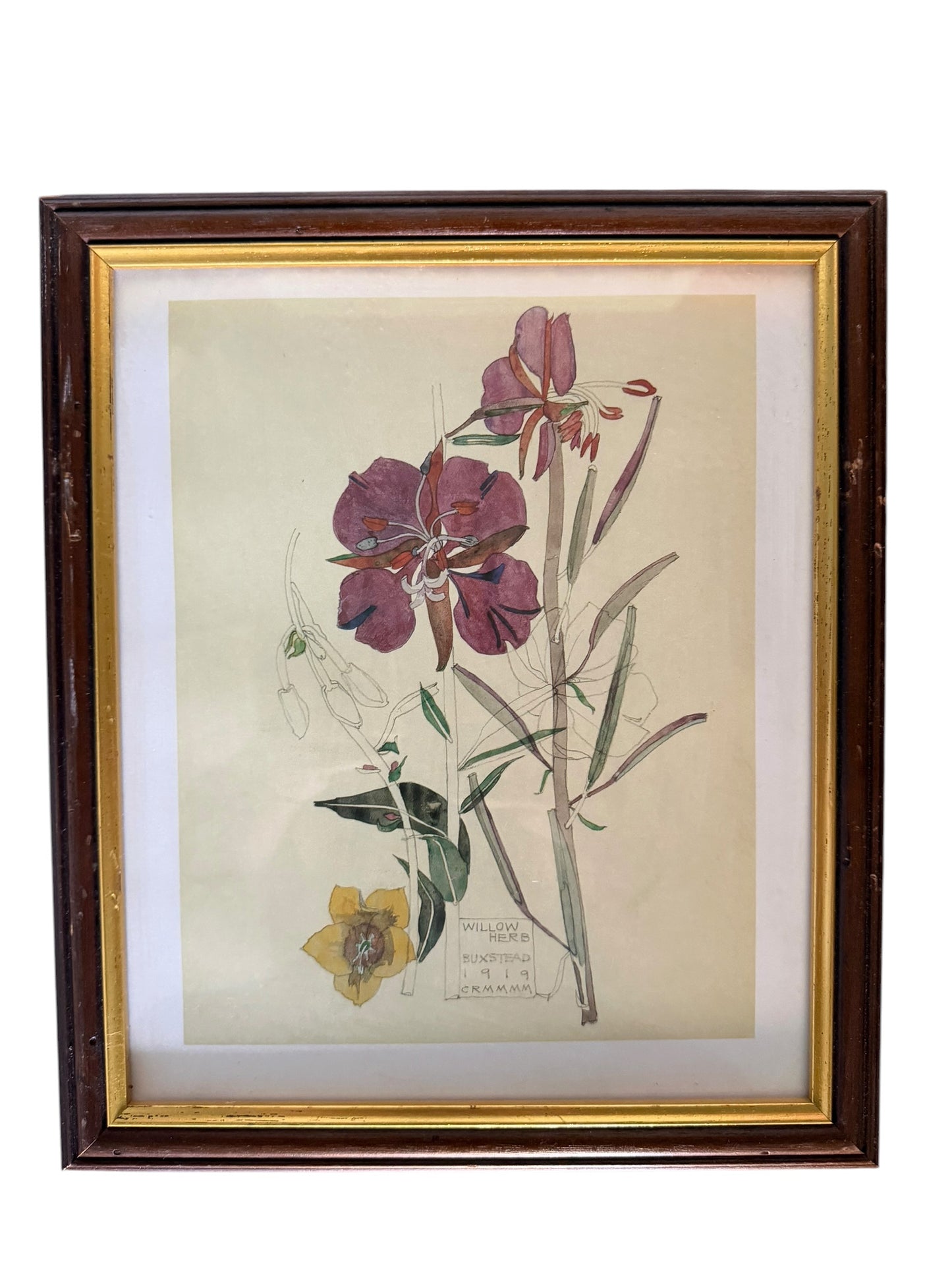 Set of four framed botanical color prints