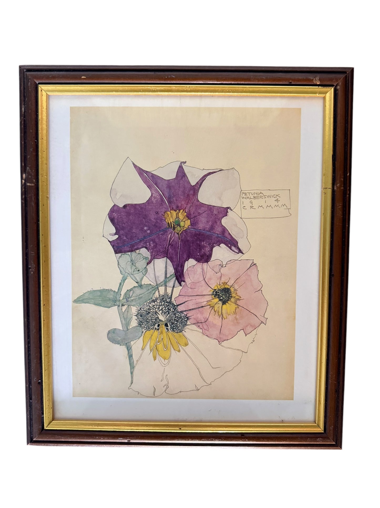 Set of four framed botanical color prints