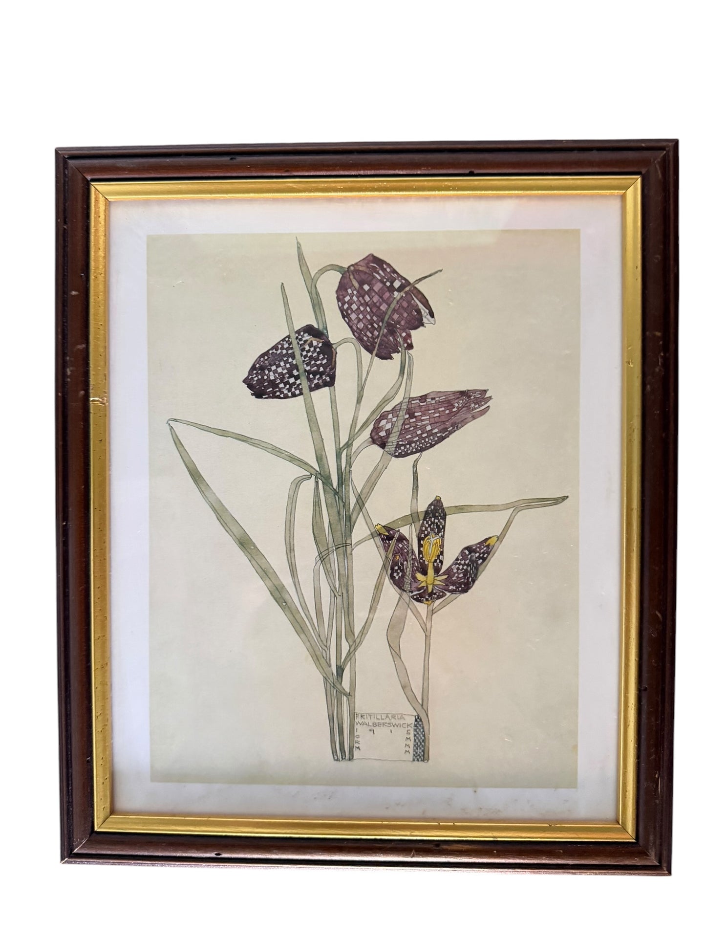 Set of four framed botanical color prints