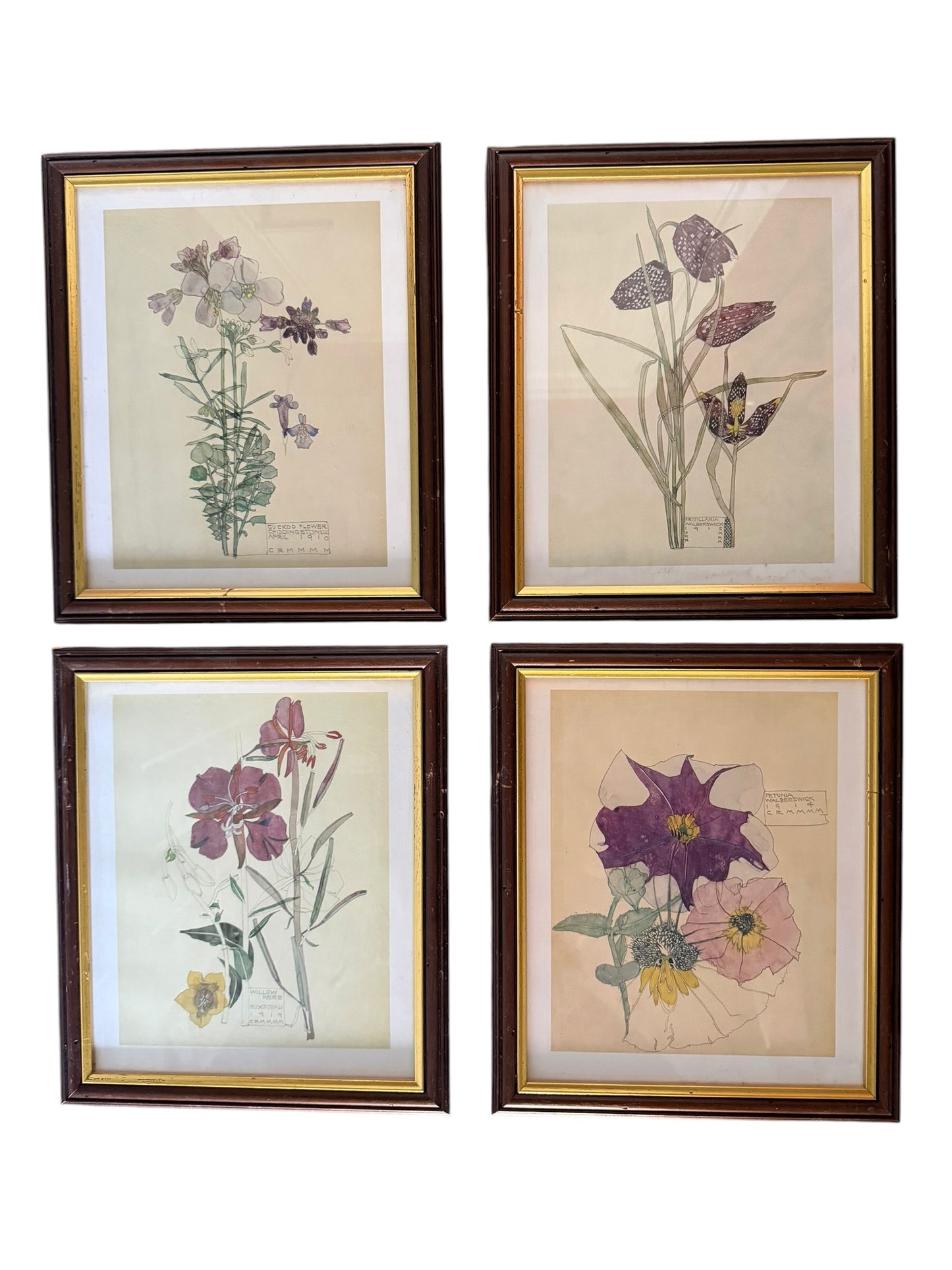 Set of four framed botanical color prints